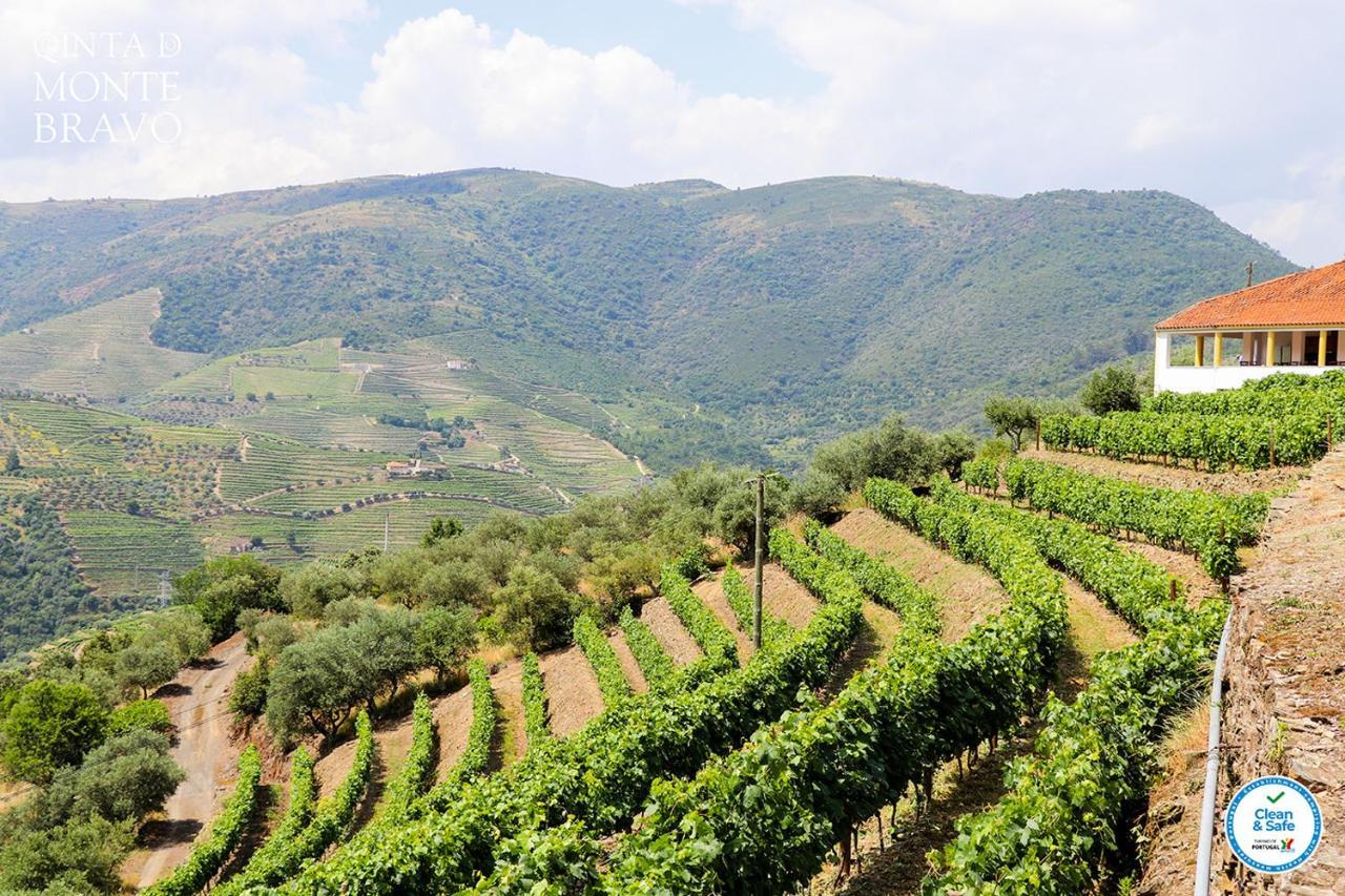 Ervedosa do Douro Quinta Do Monte Bravo - Douro - Quarto Duplo 빌라 외부 사진