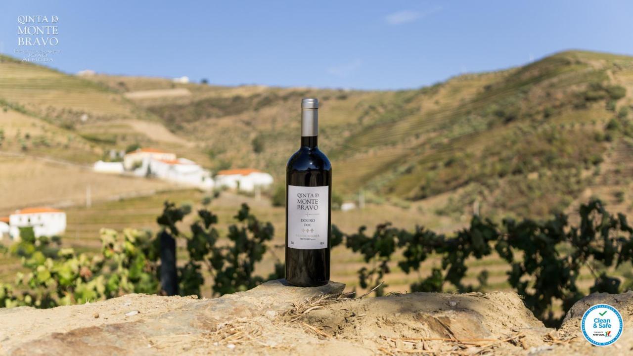 Ervedosa do Douro Quinta Do Monte Bravo - Douro - Quarto Duplo 빌라 외부 사진